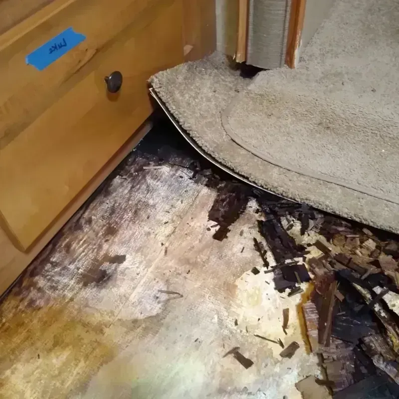 Wood Floor Water Damage in South Orange, NJ